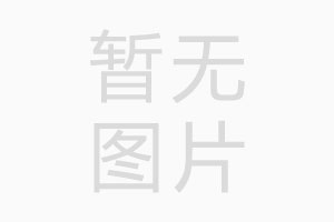 重庆市第八中学校预览图