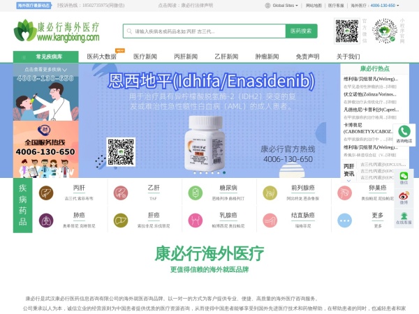 康必行海外医疗预览图