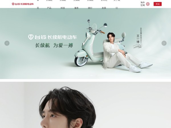 台铃电动车预览图