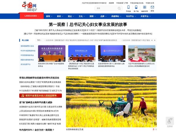 中国网预览图